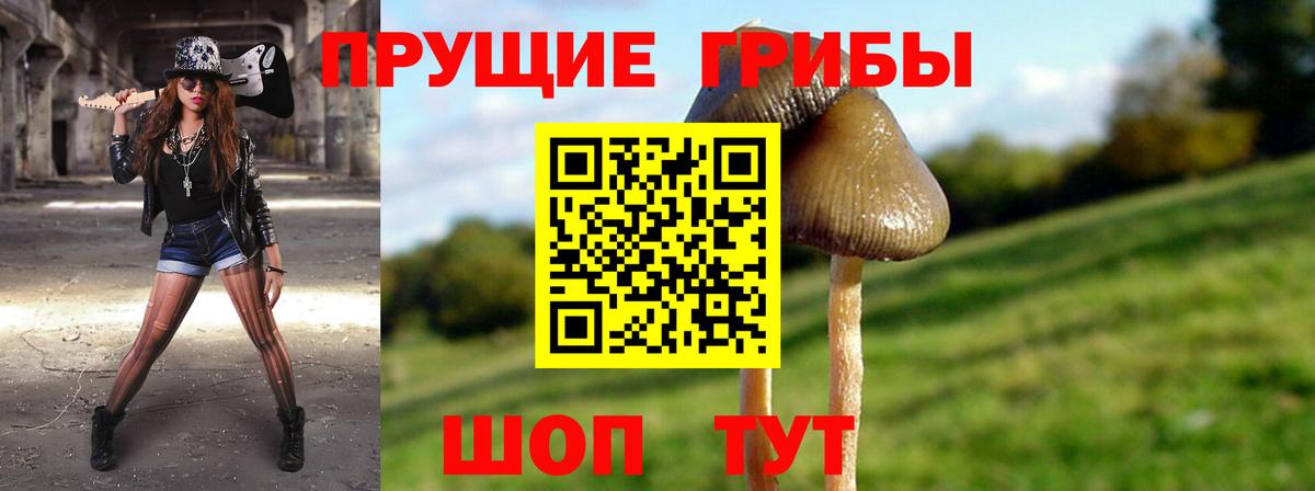 Псилоцибиновые грибы ЛСД Мариинск